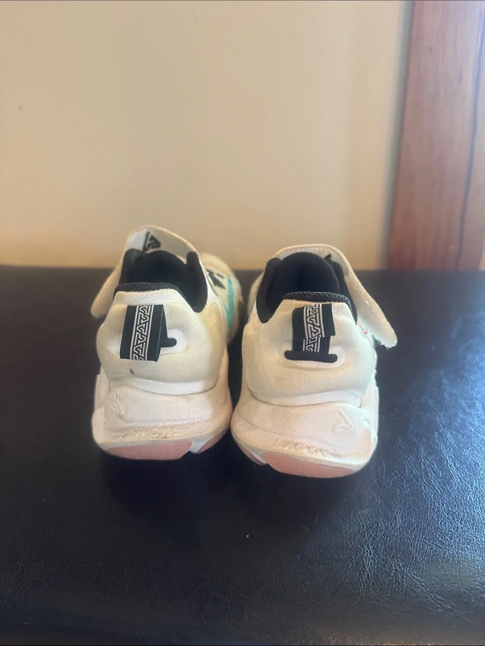 Nike Giannis basketball shoes